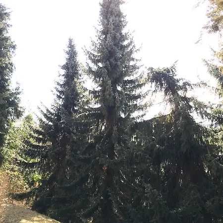 Weststadt Appartamento Baden-Baden
