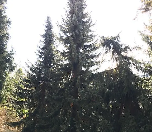 Weststadt Apartman Baden-Baden